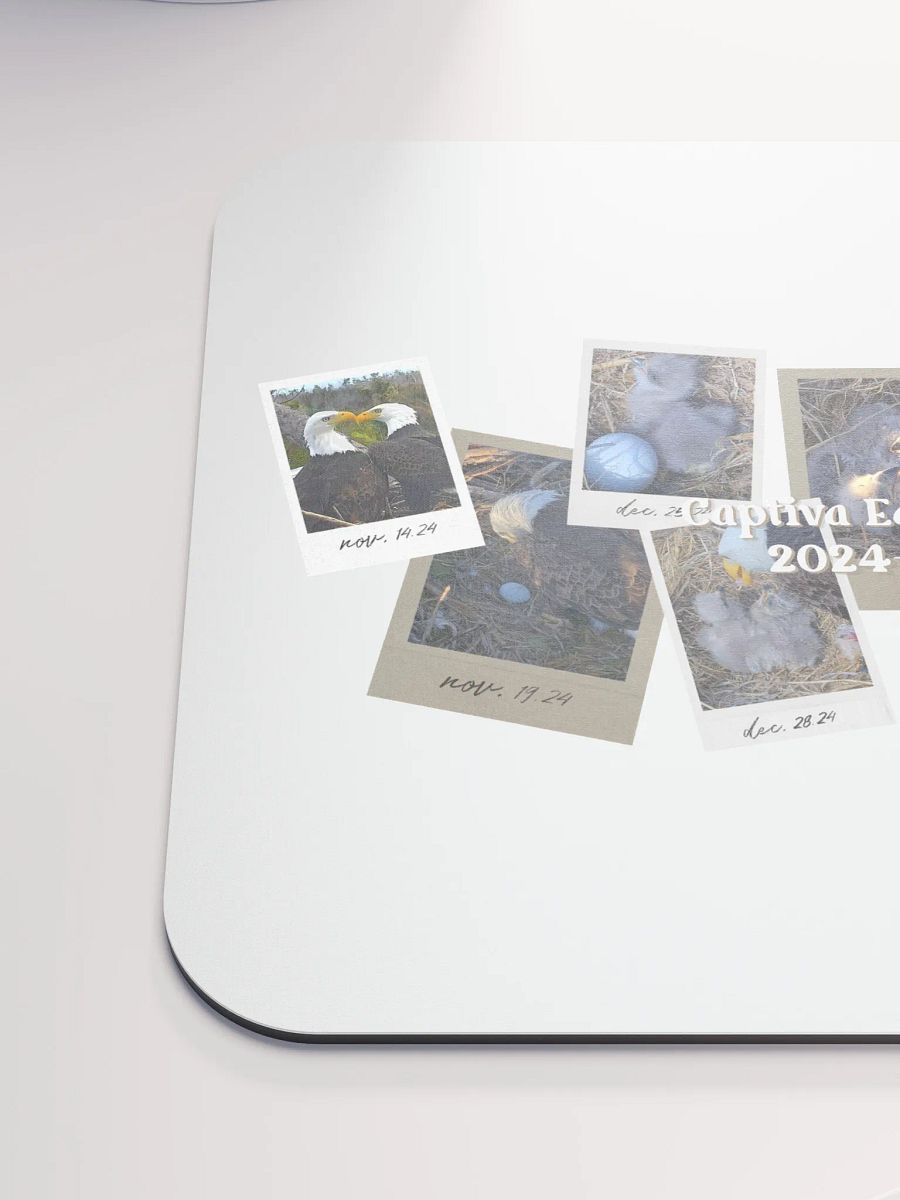 Journey | Mouse Pad | Captiva Eagle Cam 2024-2025 product image (5)
