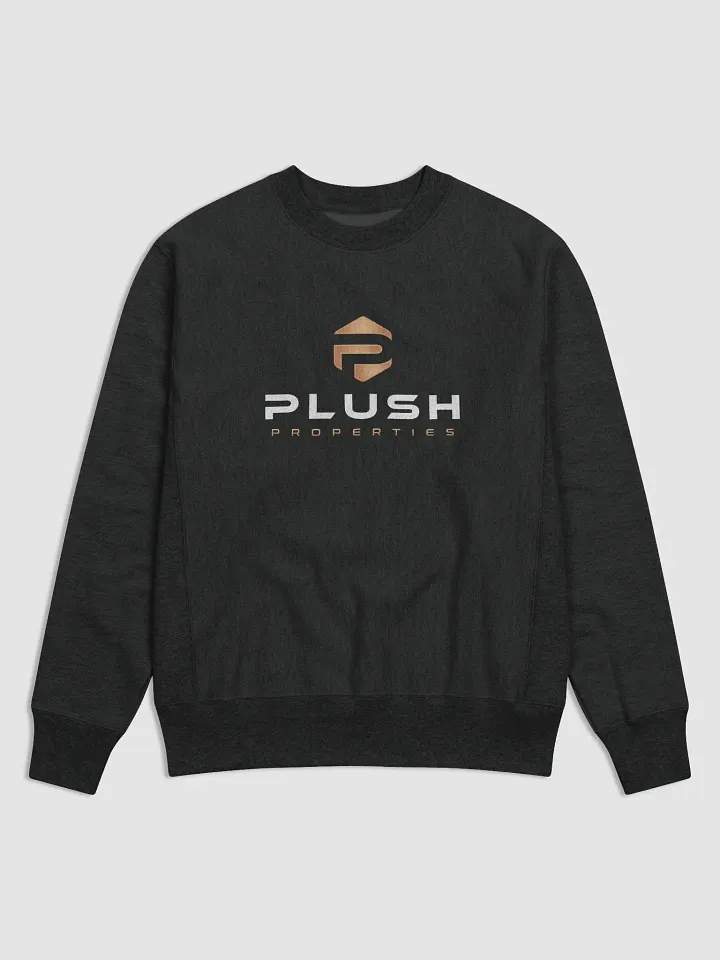 Plush Cotton Max Sweatshirt by Champion product image (1)