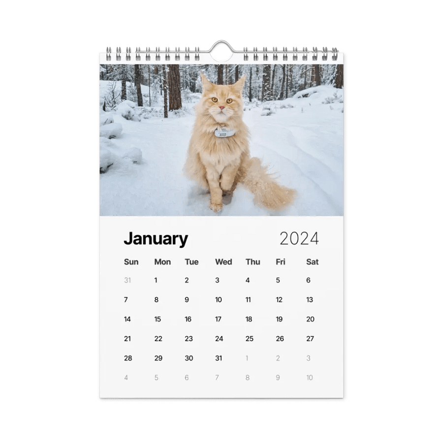 2024 Calendar - Adventures with Maine Coons product image (8)