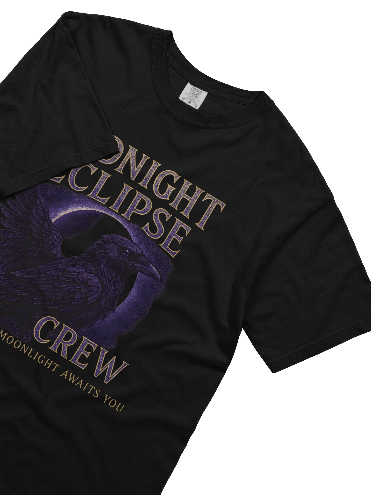 Feathers of Midnight T-Shirt product image (3)