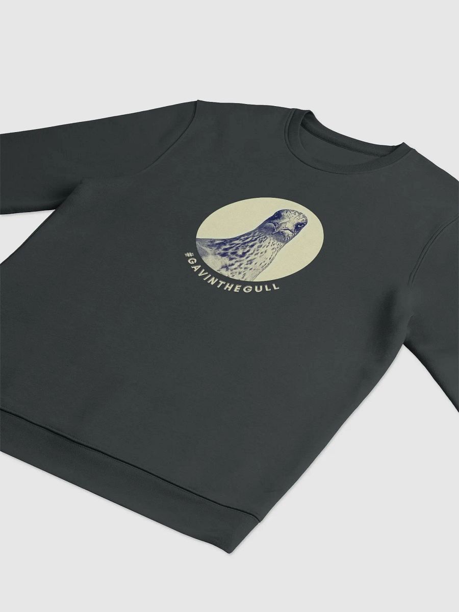 Unisex Sweatshirt featuring Gavin the Gull product image (5)