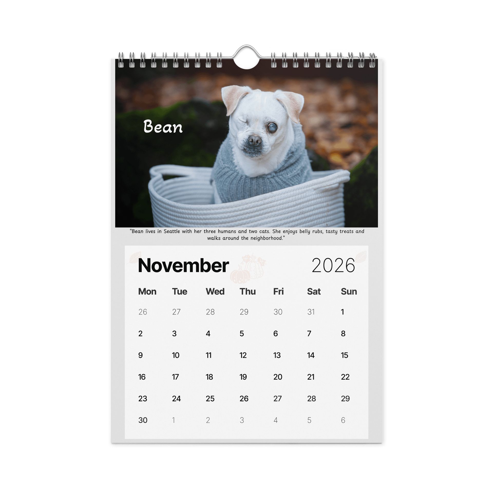 2026 Saving Great Animals Rescue Calendar product image (10)