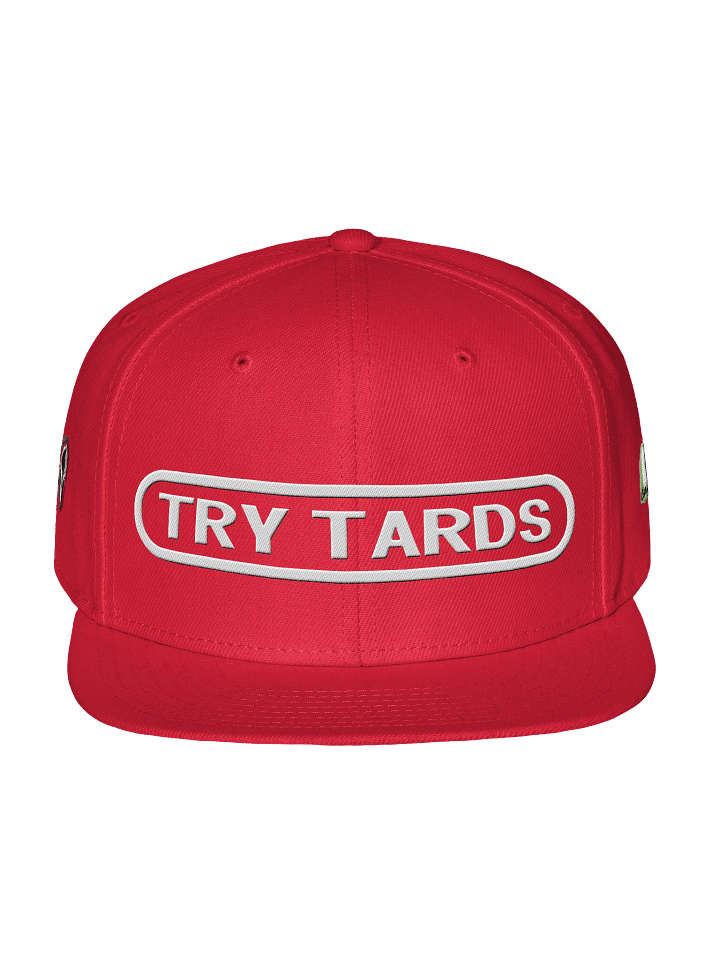 NinTardoHat product image (1)
