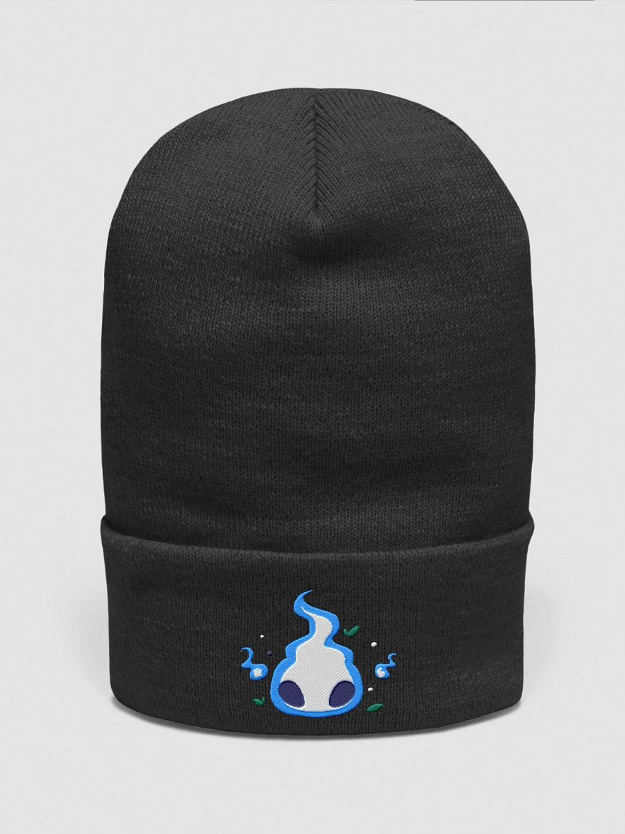 Wisp Embroidered Beanie product image (1)