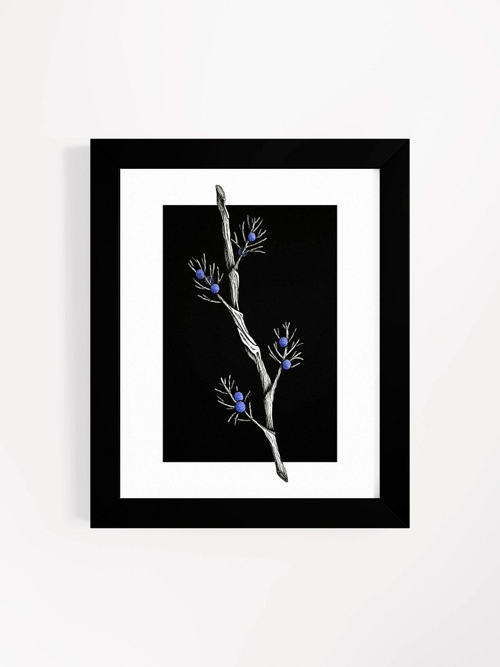 Juniper - Print product image (1)