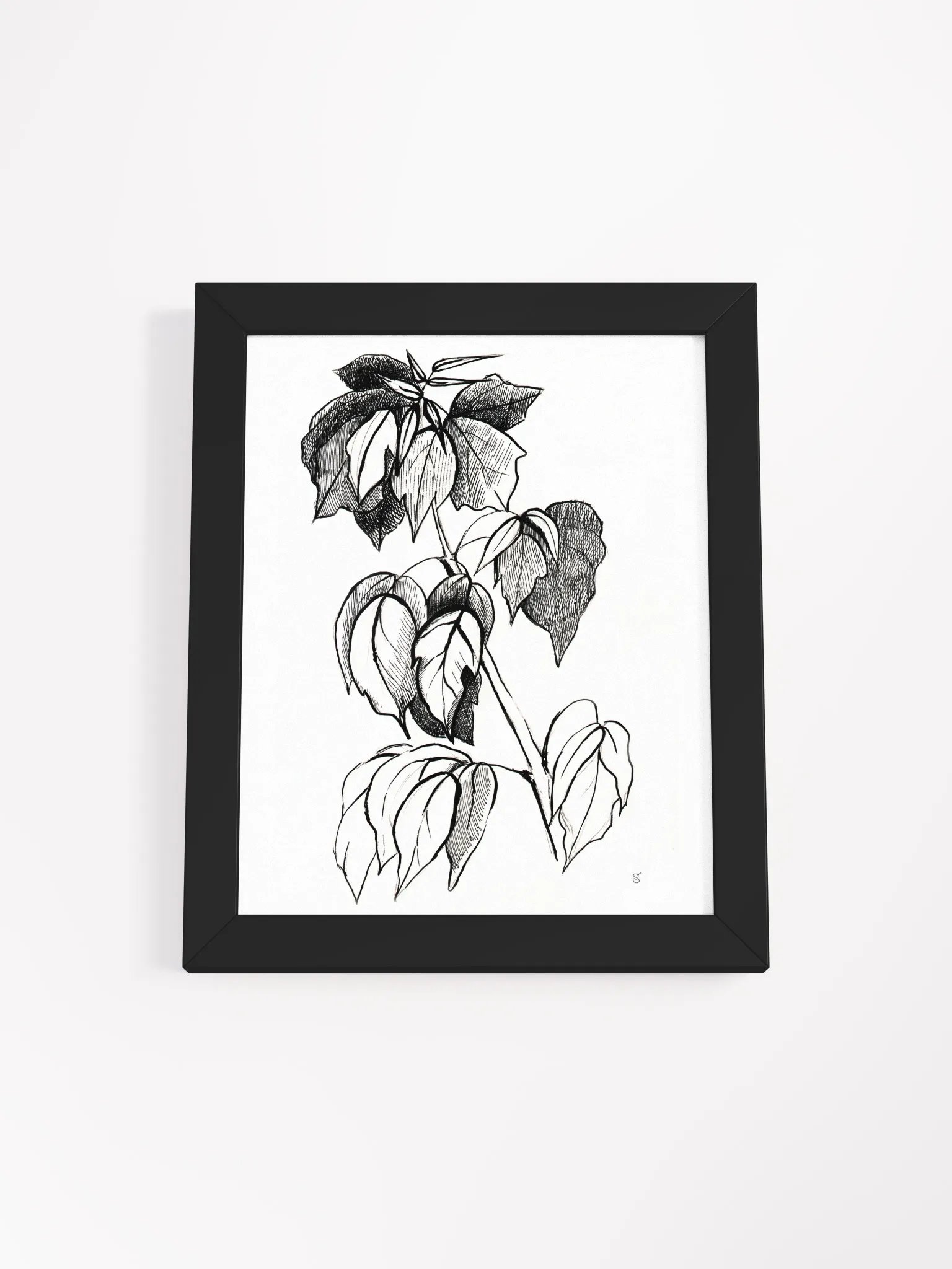 Botanical Sketch Framed Matte Poster - Stylish Graphical Twig product image (3)