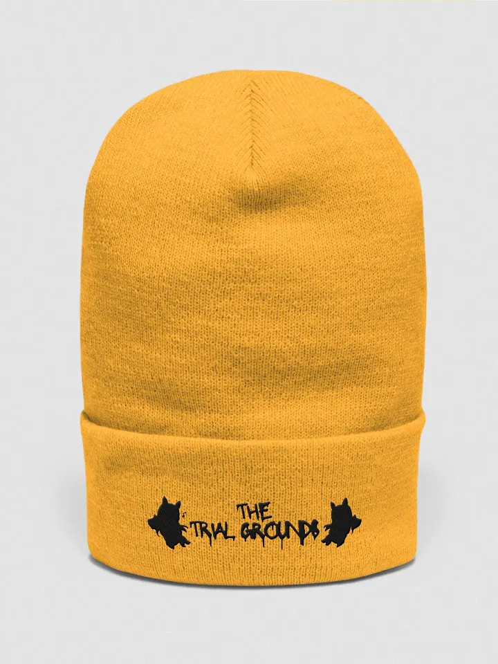 Trial Grounds Community beanie product image (1)