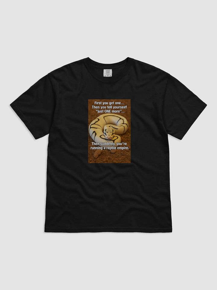 First You Get One product image (1)