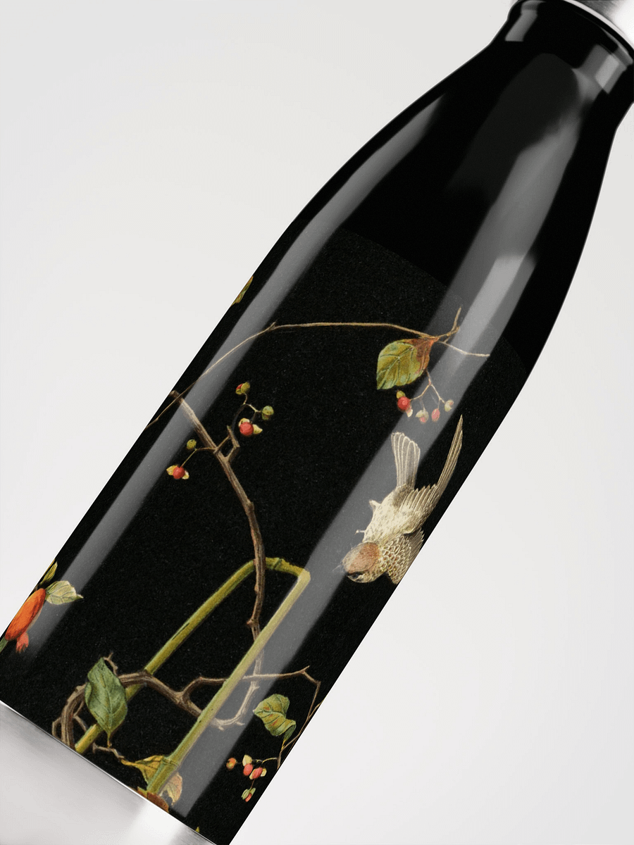 Still Life. 17oz. Stainless Steel Water Bottle product image (5)