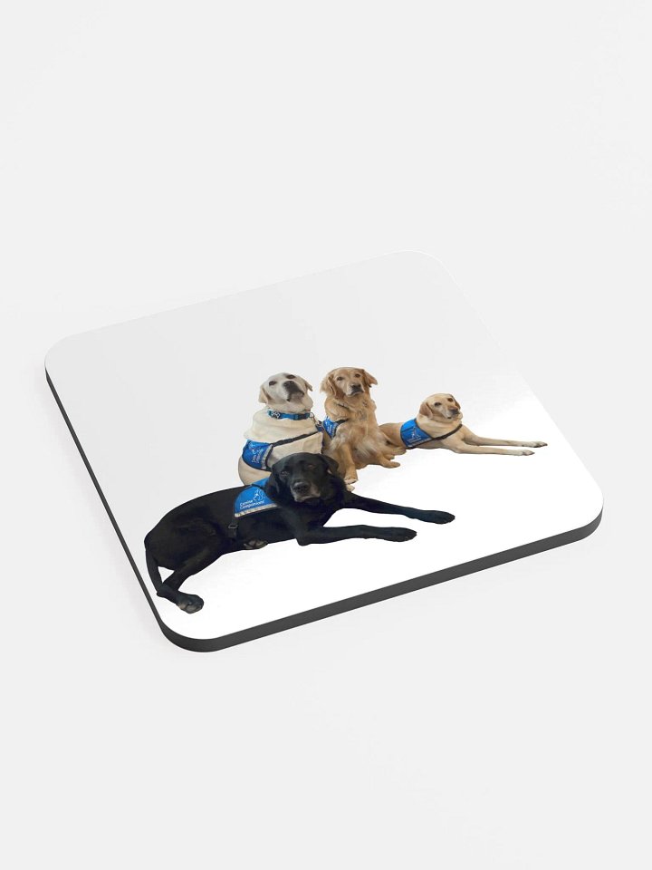 Facility Dogs Coaster product image (2)