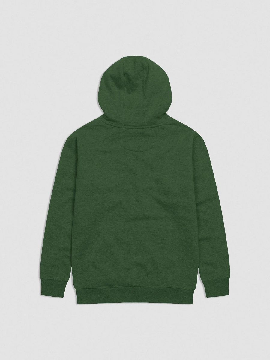 Wealthy & Healthy - Embroidered Hoodie product image (6)