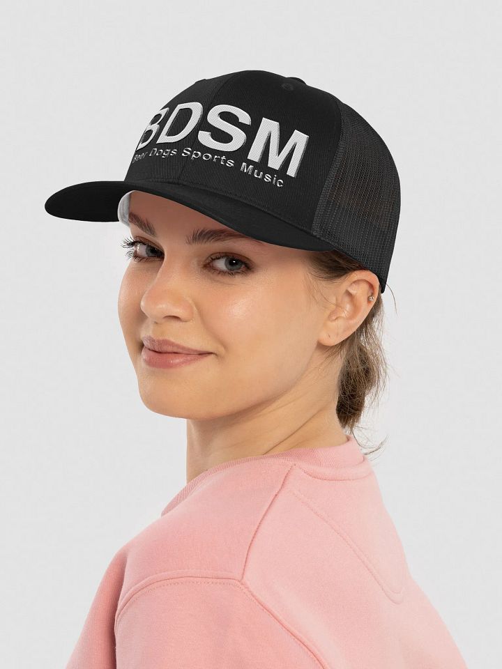 Beer Dogs Sports Music BDSM Retro Trucker Hat product image (2)