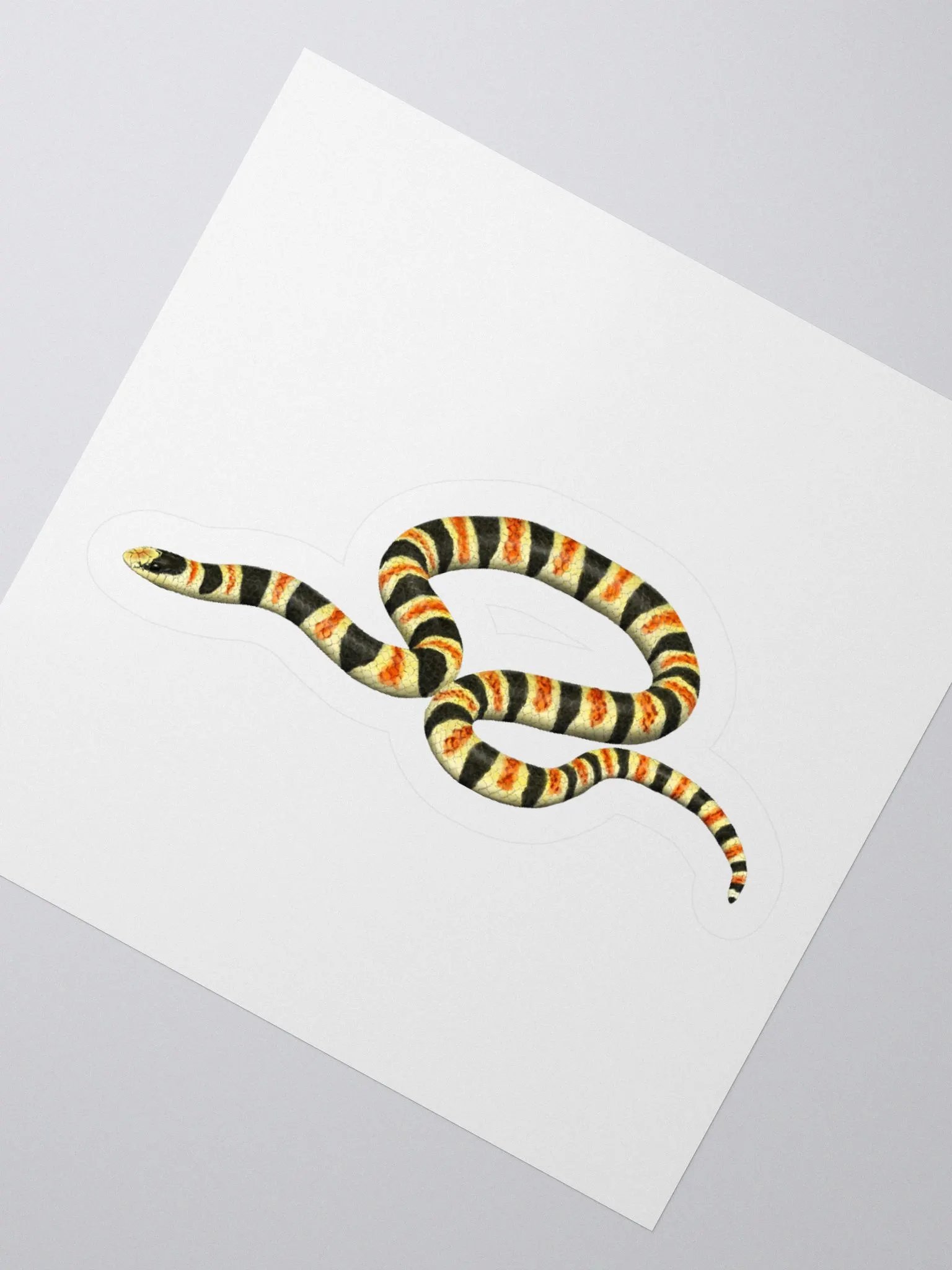 Die-Cut Sticker – Resplendent Shovelnosed Snake product image (2)