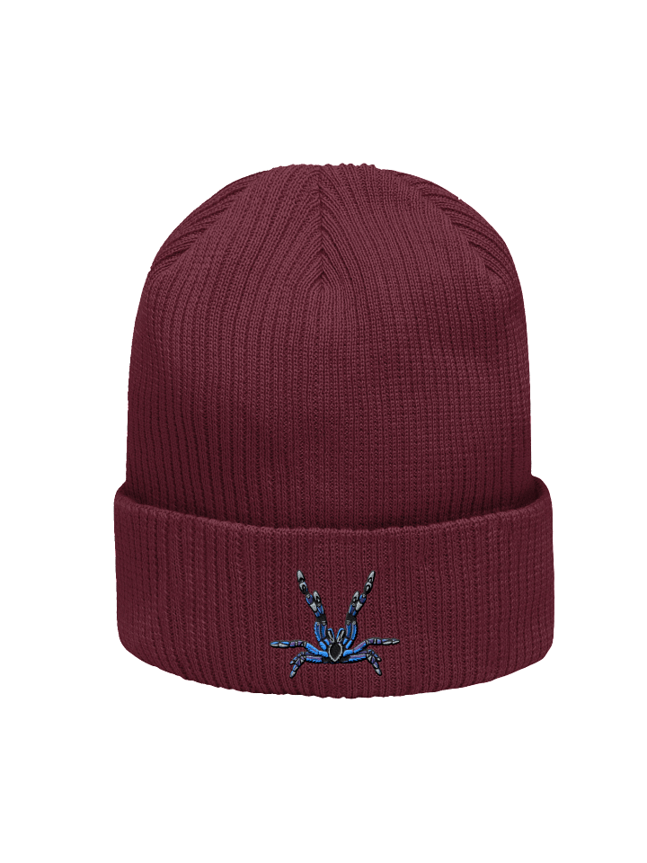 Poecilotheria Metallica Beanie product image (1)