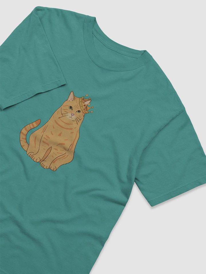 T-Shirt Maître Thibou - 100% Coton product image (2)