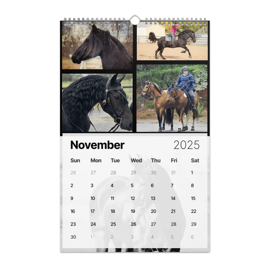 2025 Moriesian Horse Registry Calendar product image (24)