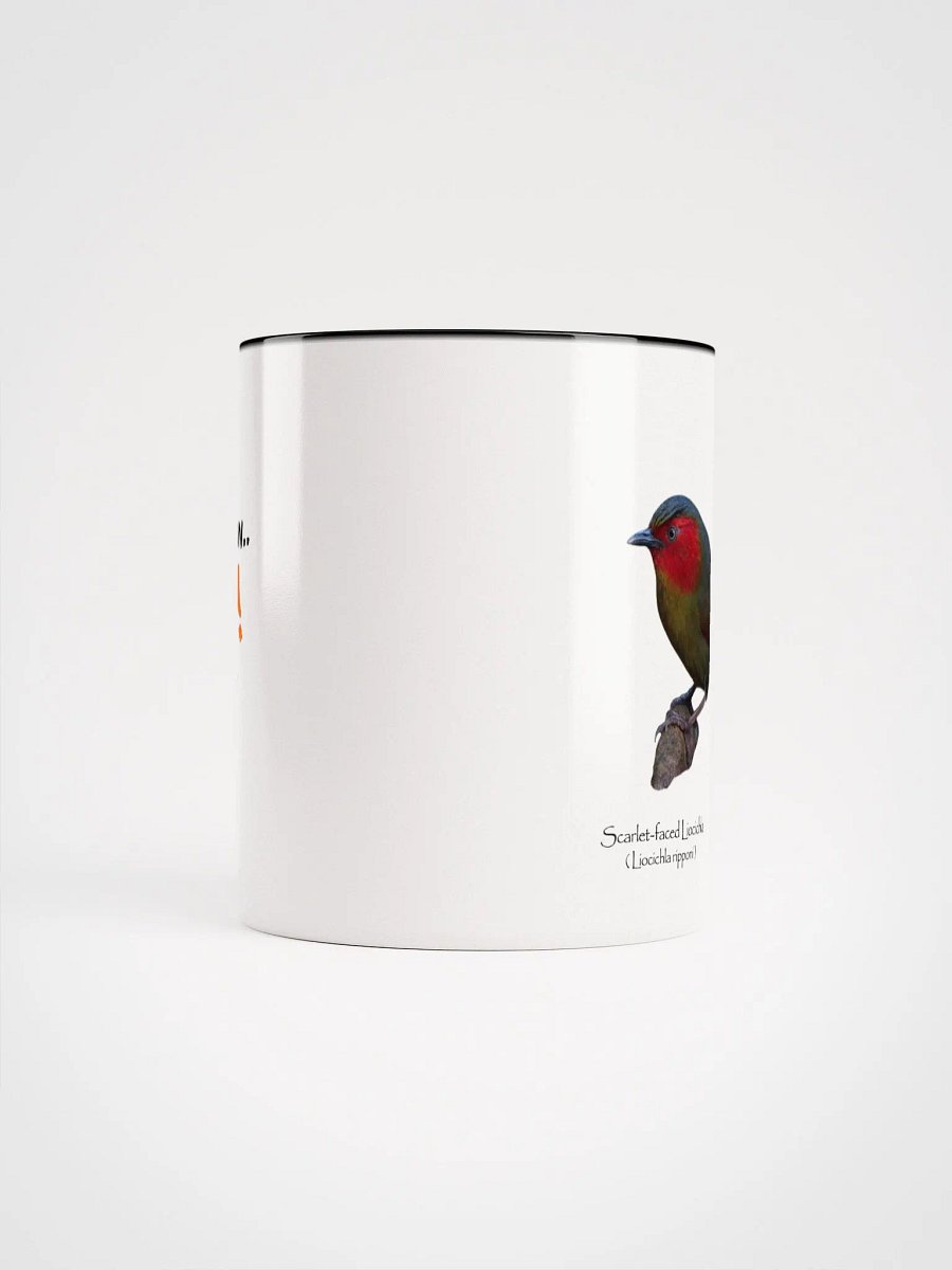 Scarlet-faced Liocichla mug product image (50)