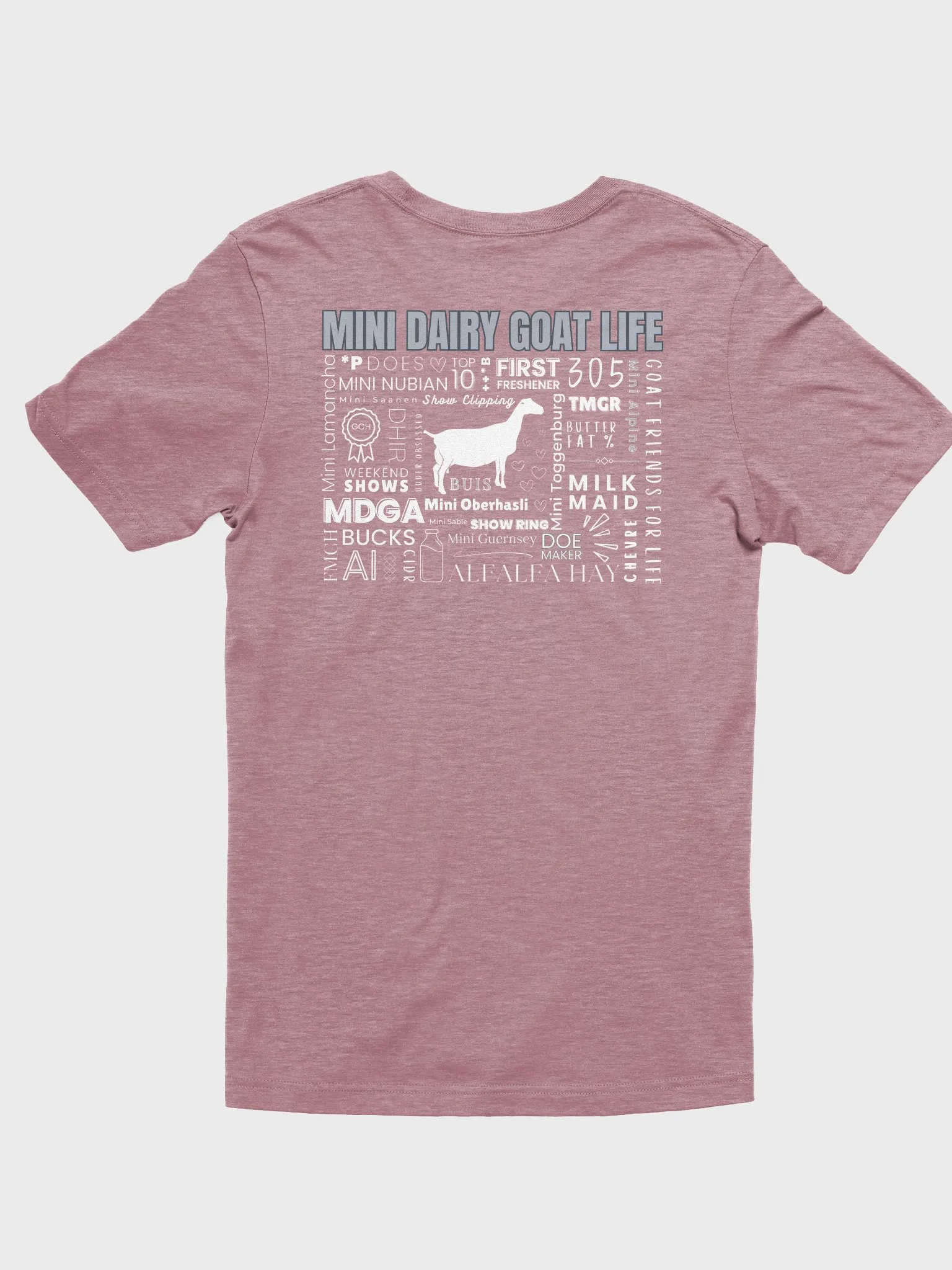 Mini Dairy Goat Life - Mini Lamancha product image (3)