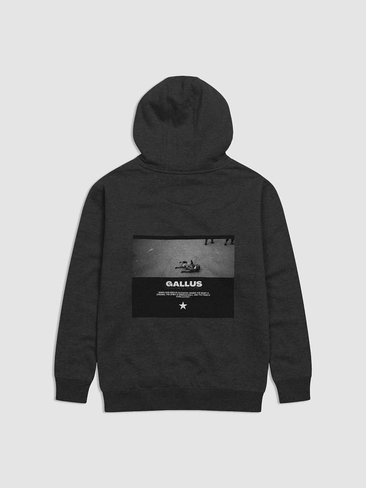 Gallus Hoodies product image (1)