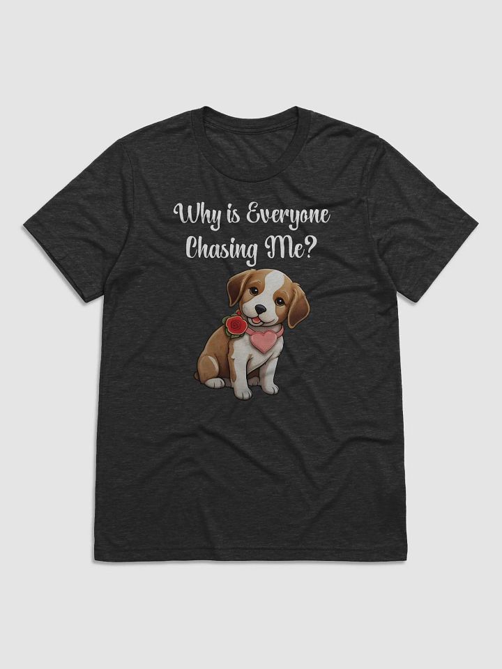 Why is Everyone Chasing Me? T-Shirt product image (5)