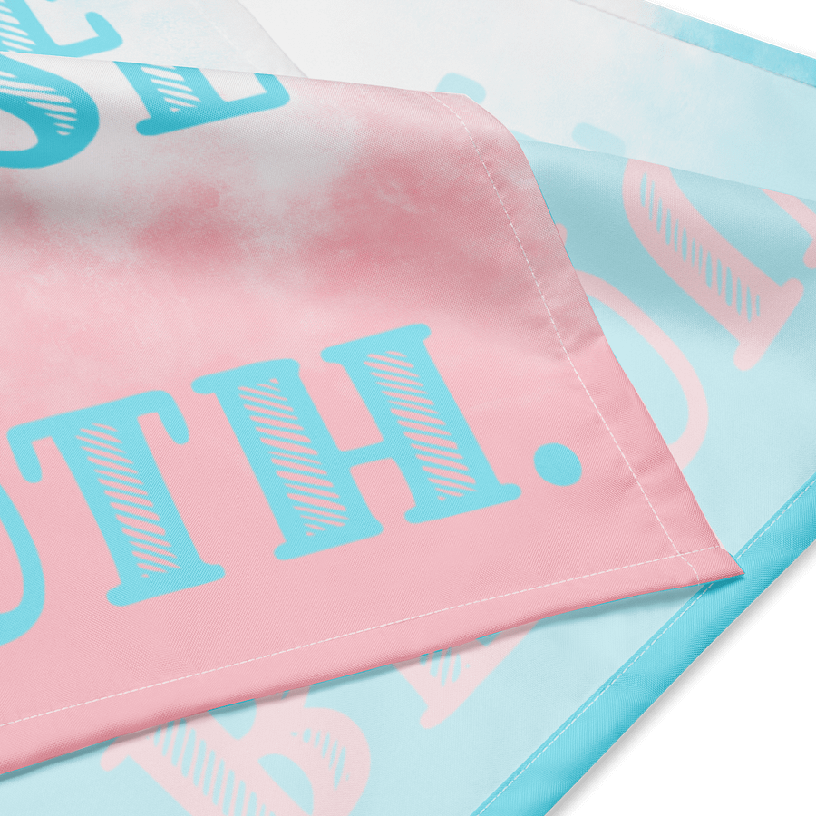 Pride Bandanna - Trans product image (4)