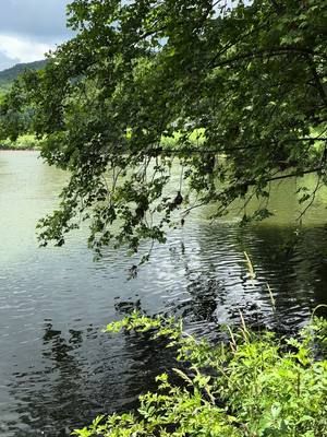 I love the ancient New River! 😍 #newriver #peaceful #riverbliss 