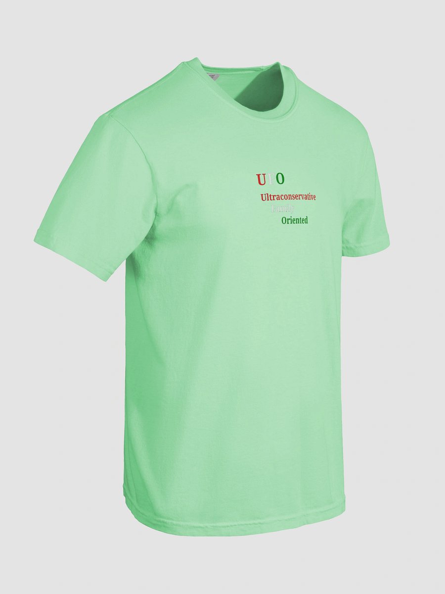 UFO Ultraconservative Family Oriented Tee product image (8)
