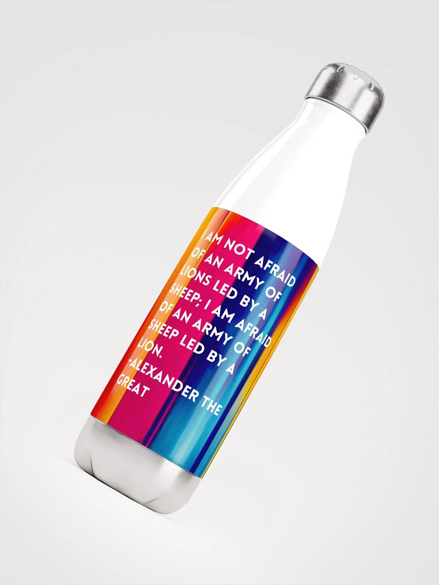 Stainless Steel Water Bottle product image (4)