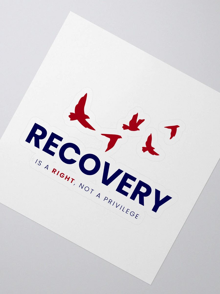 Recovery is a Right, Not a Privilege product image (2)