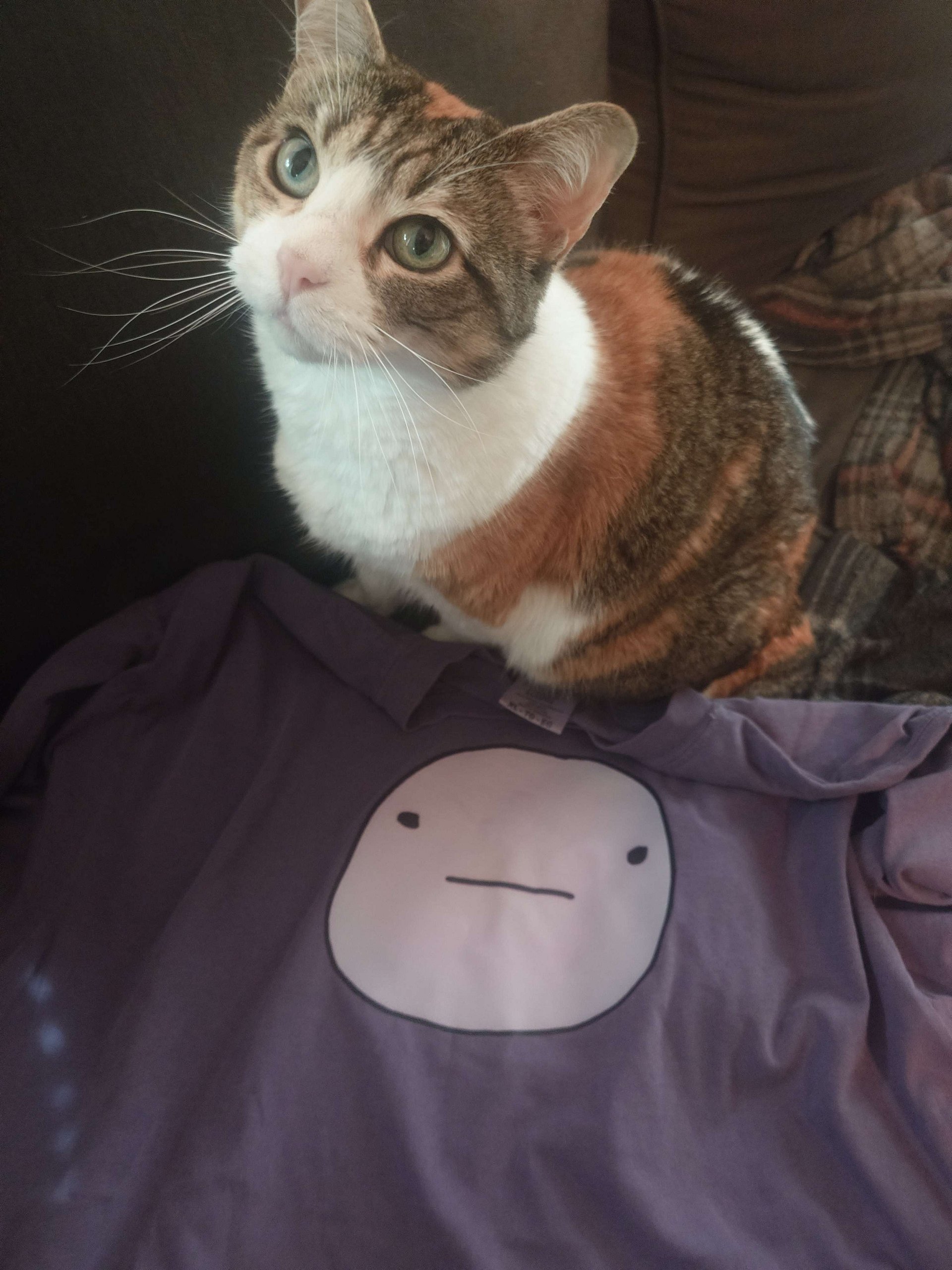 :| Tee product image (5)