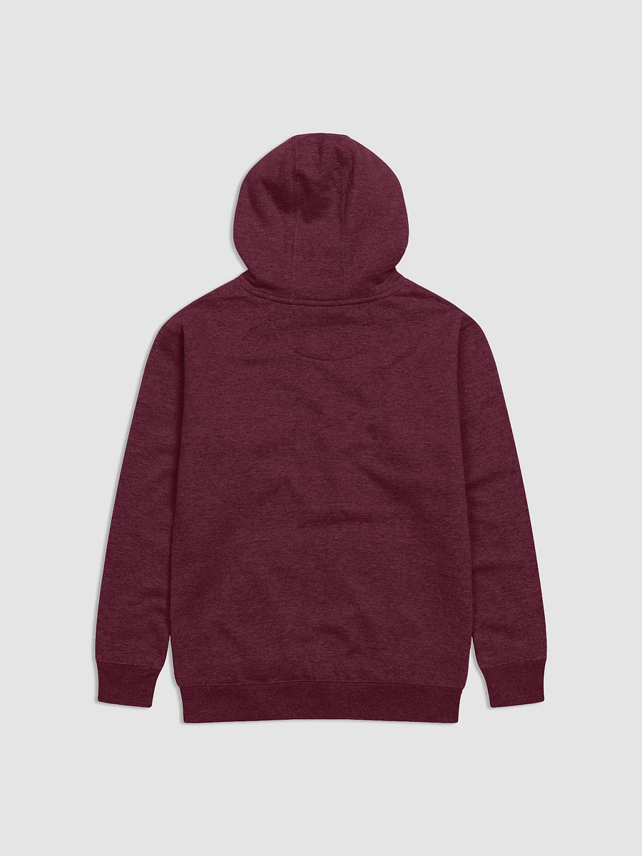 Deep State Premium Hoodie product image (2)