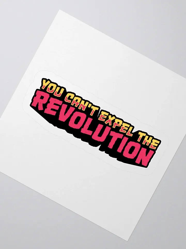 You Can't Expel The Revolution Sticker product image (5)