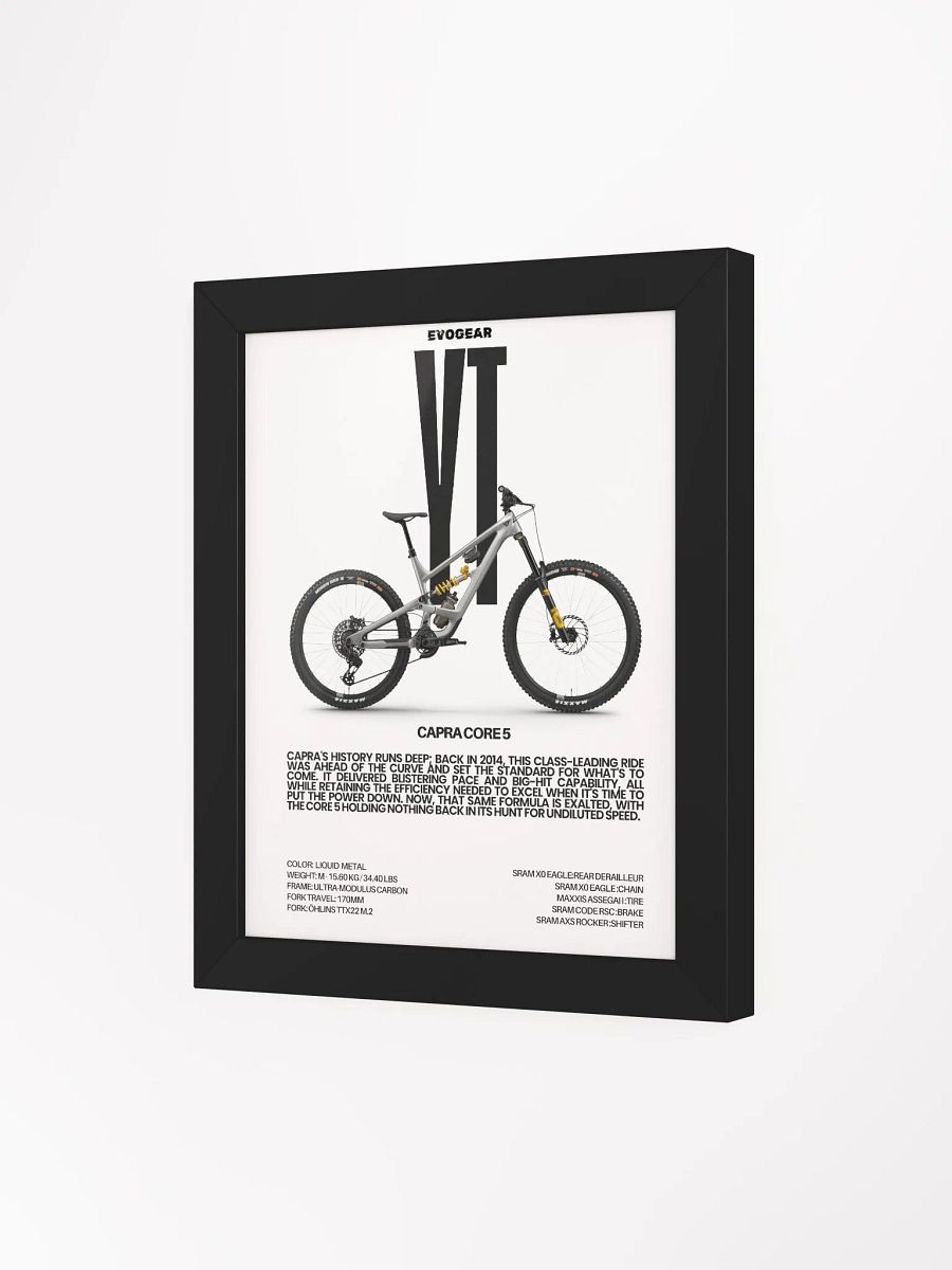YT Capra Core 5 Frame product image (3)