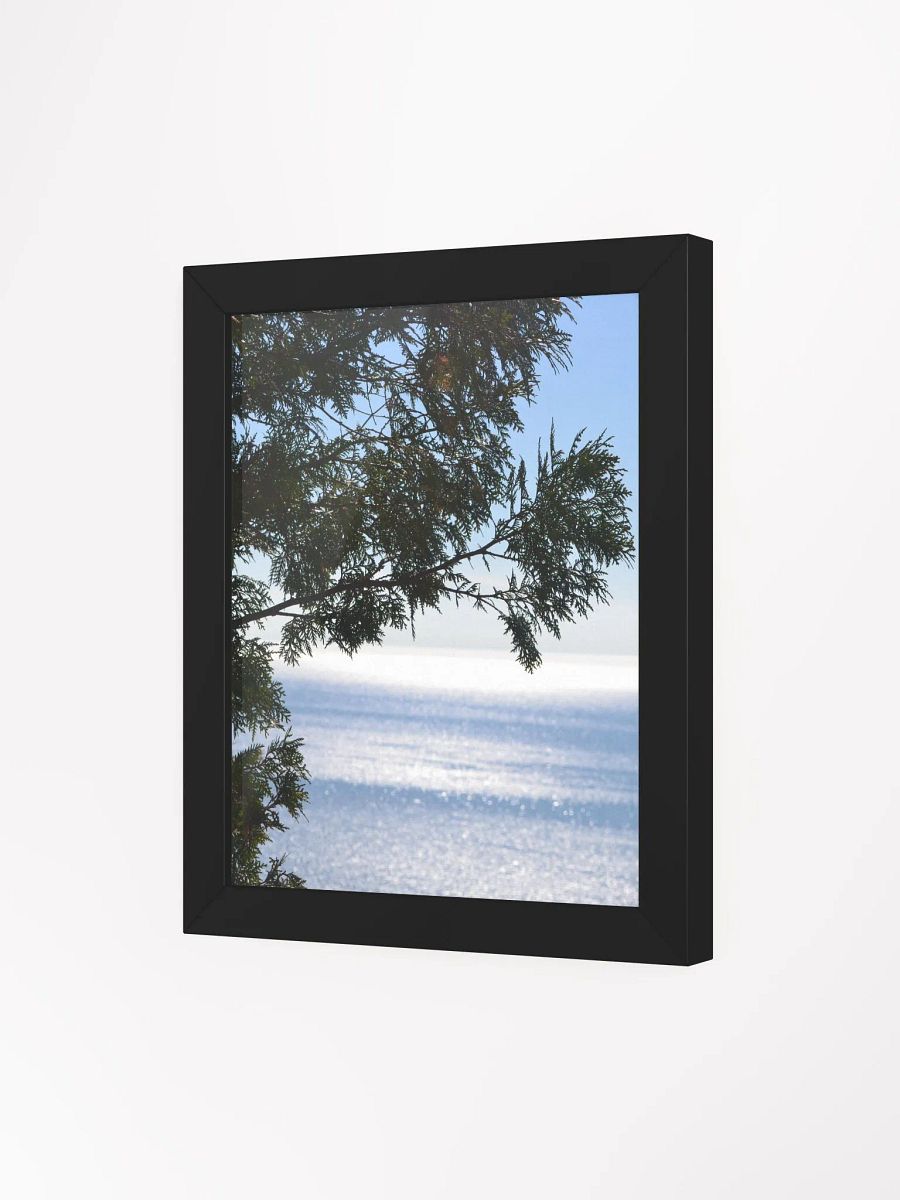 Pine and Water High Quality Matte Poster product image (3)
