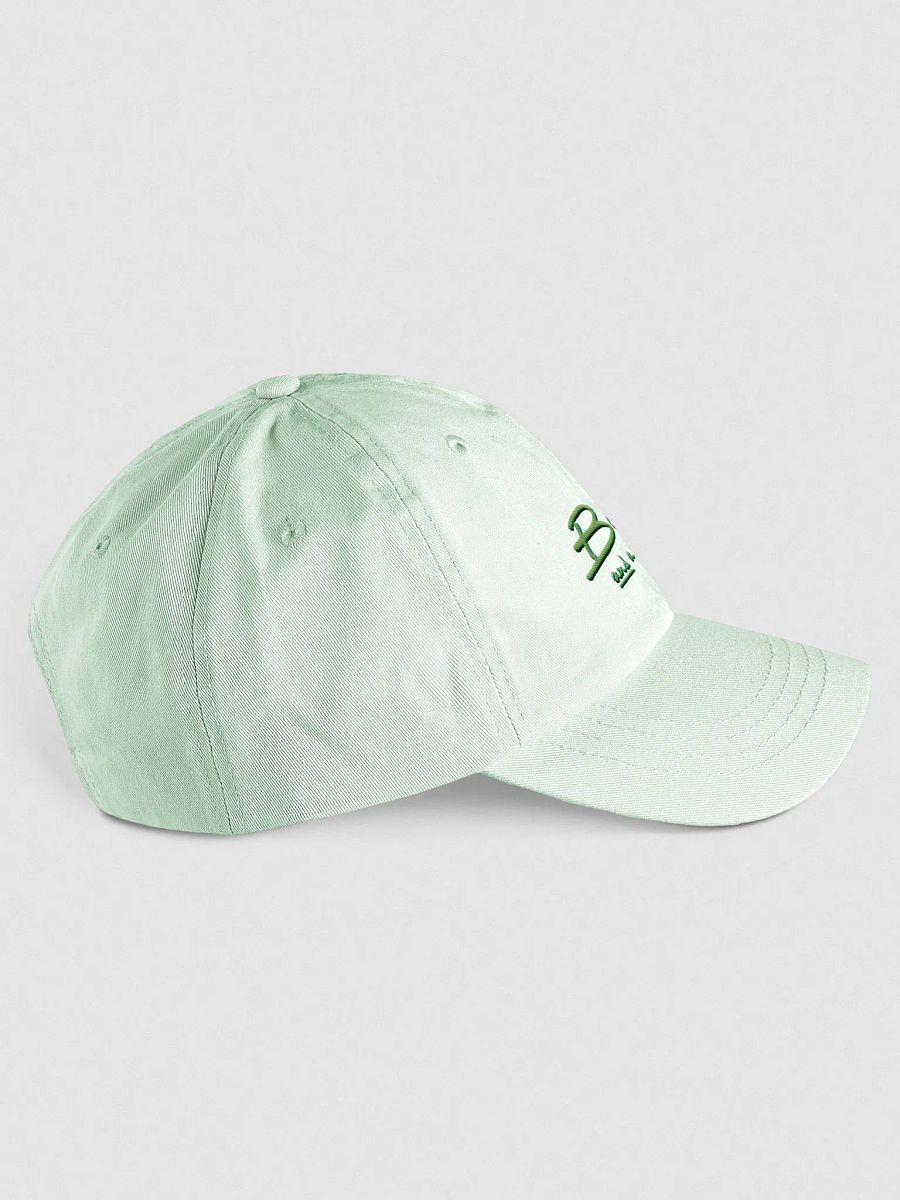 Bubbly and a B*tch shadow design (lime) pastel dad hat product image (12)