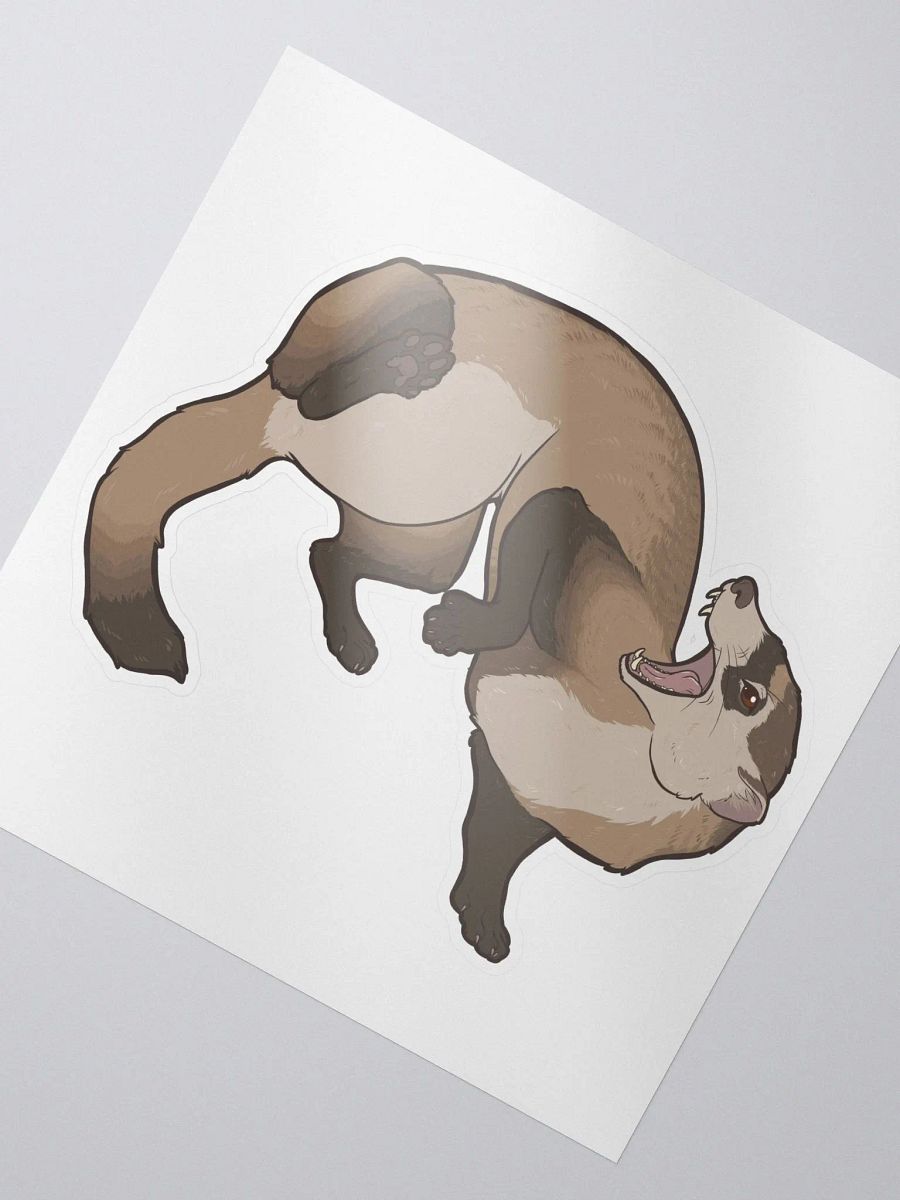 Black Footed Ferret product image (3)