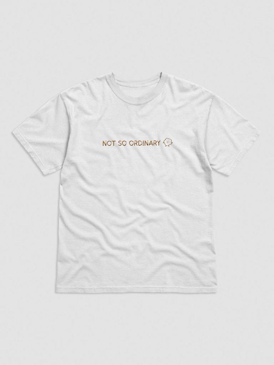 NOT SO ORDINARY Comfort Colors Tee product image (45)