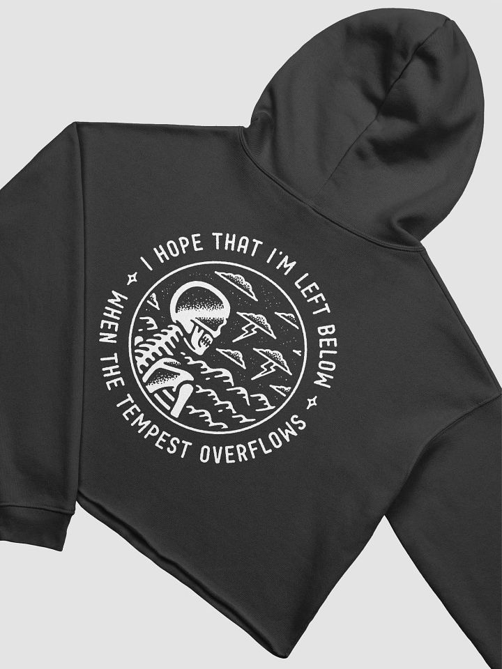 Tempest Cropped Hoddie product image (4)