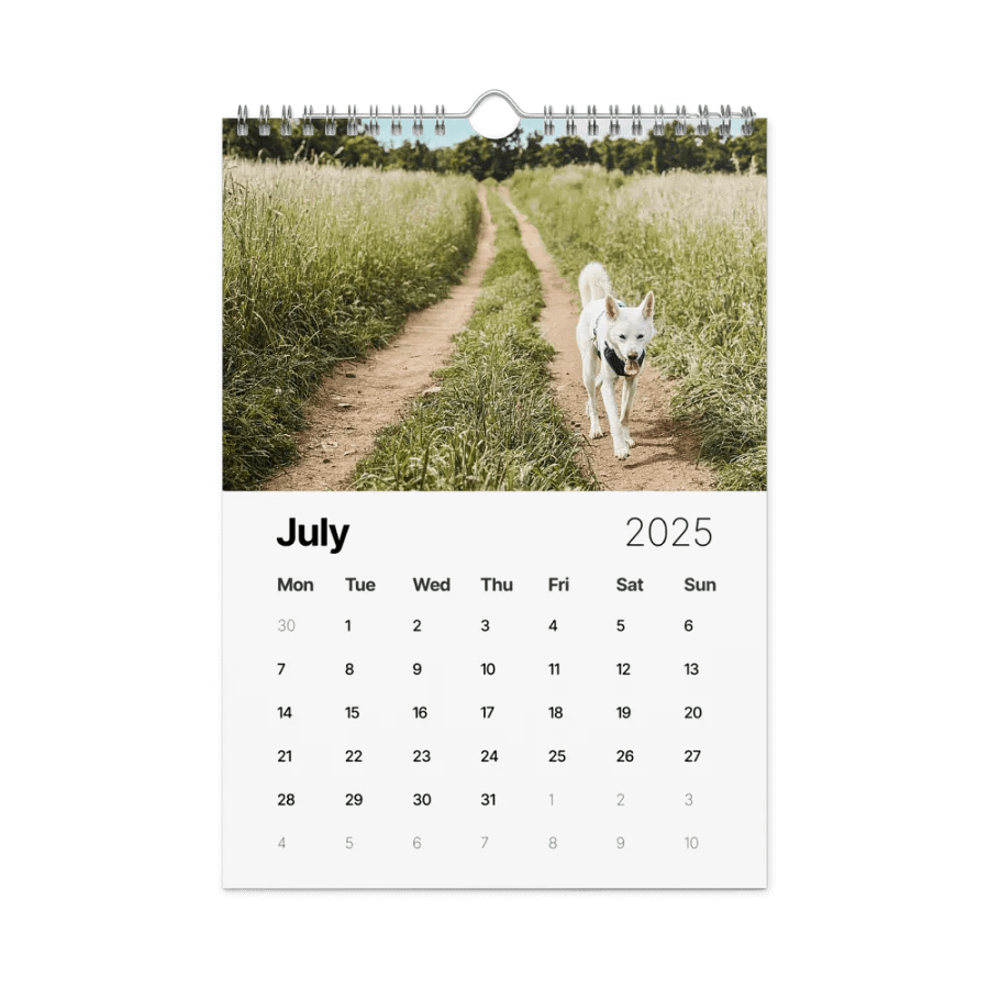 Eli's Favorite 2025 Calendar product image (7)