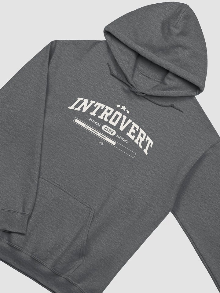 Introvert (Gildan Classic Hoodie) product image (19)