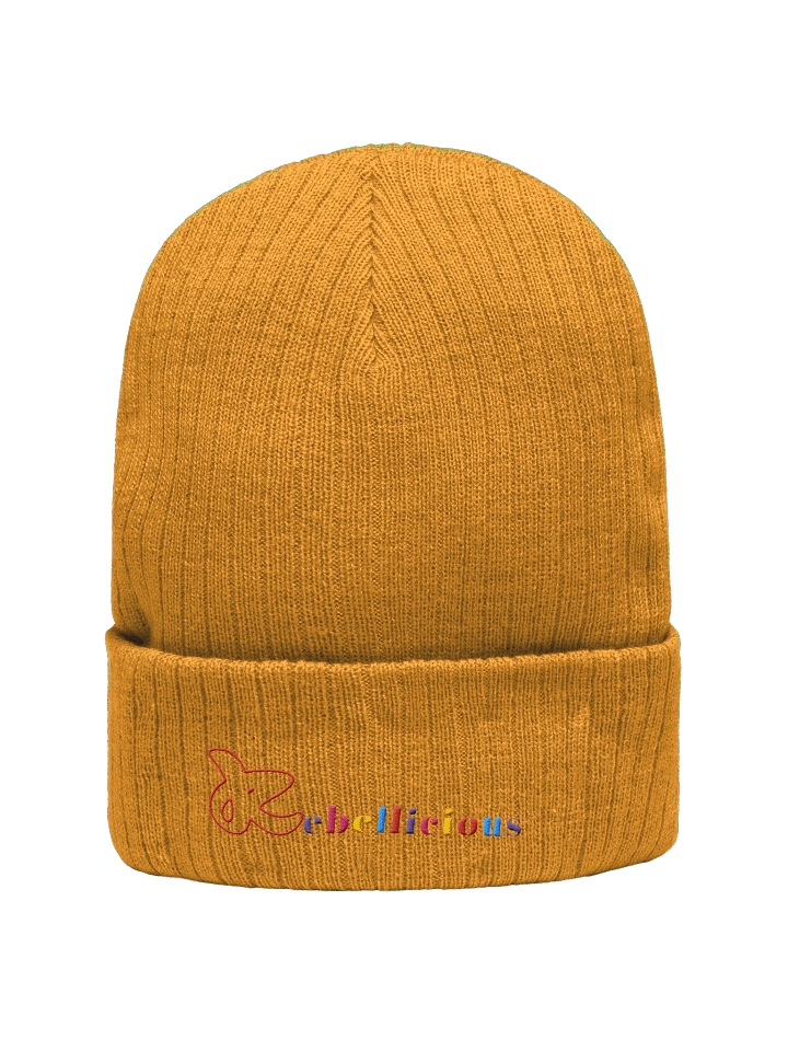 Rebellicious Ribbed Beanie product image (19)