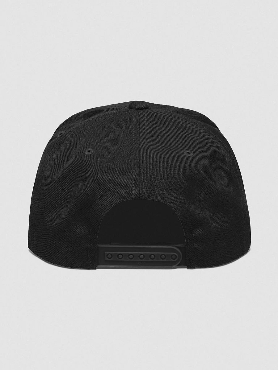Snapback Cap (black) product image (4)