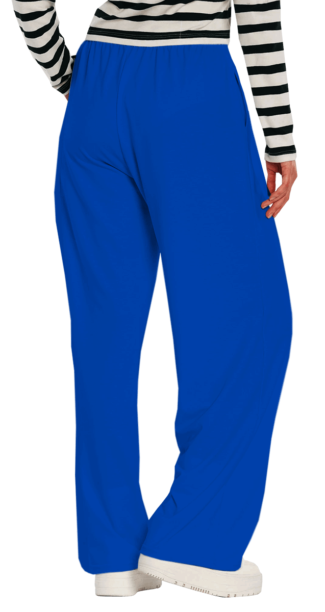 Plain Color Absolute Blue Wide-Leg Pants product image (3)