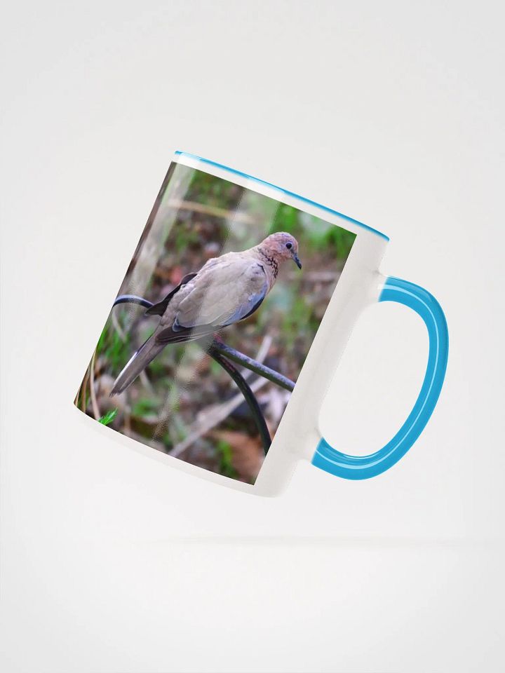 IUCAA Birds MUG product image (2)