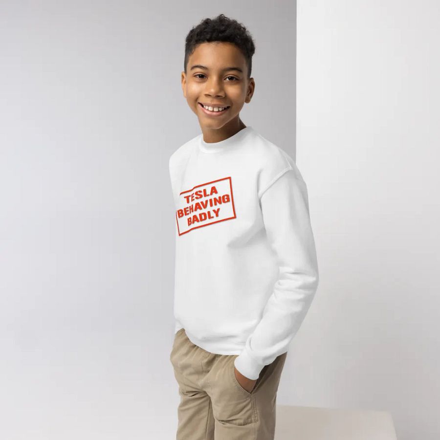 KIDS TESLA BEHAVING BADLY product image (4)