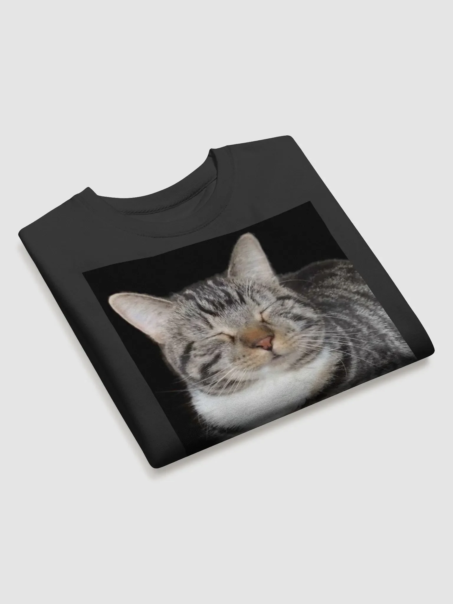 Scooter Cat Sweatshirt product image (3)