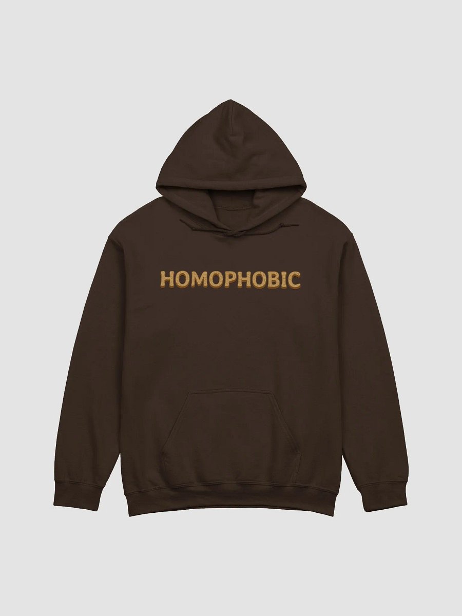 AntiHomo Hoodie product image (1)