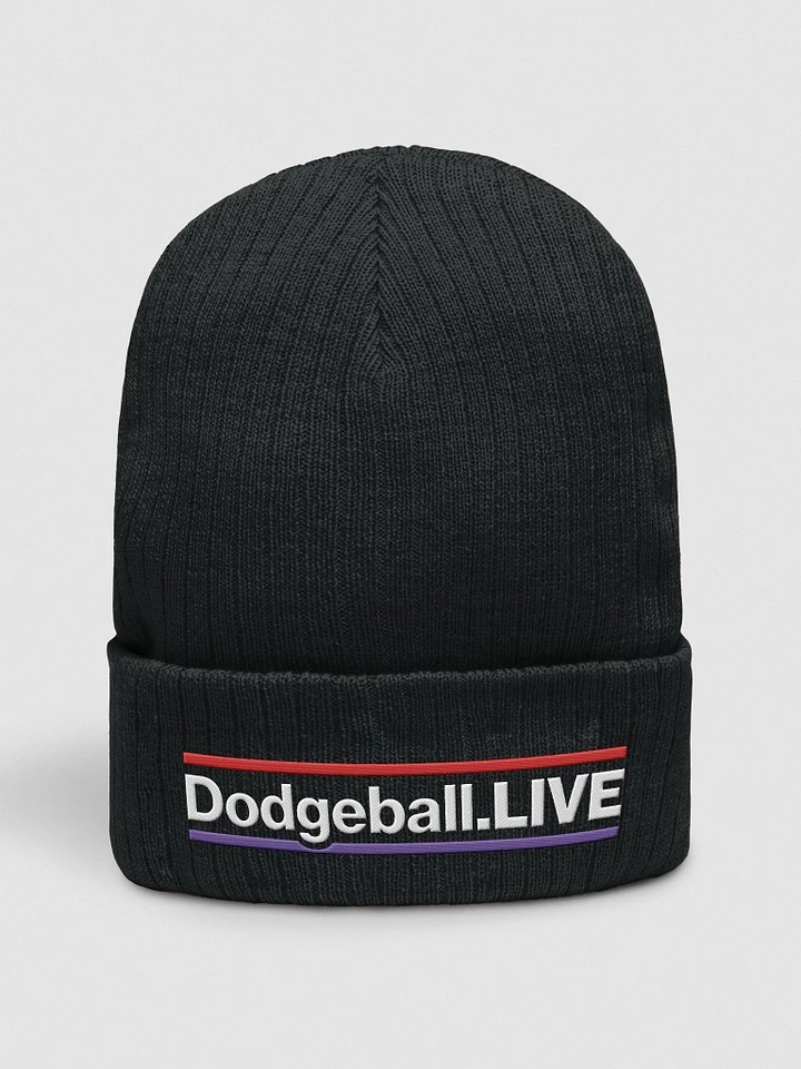 Dodgeball.LIVE HZ Knitted Beanie (Light) product image (1)