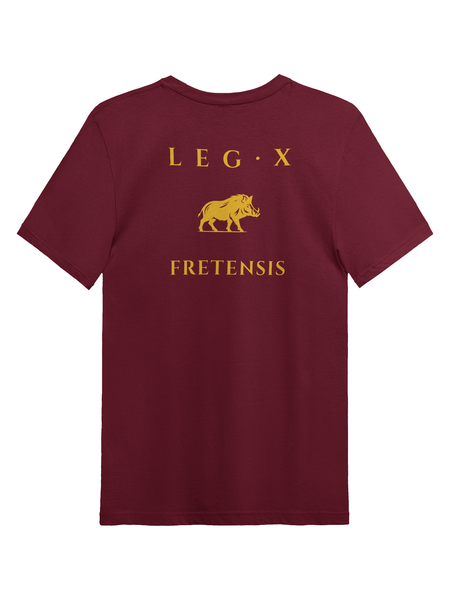 Legio X Fretensis T-Shirt product image (8)