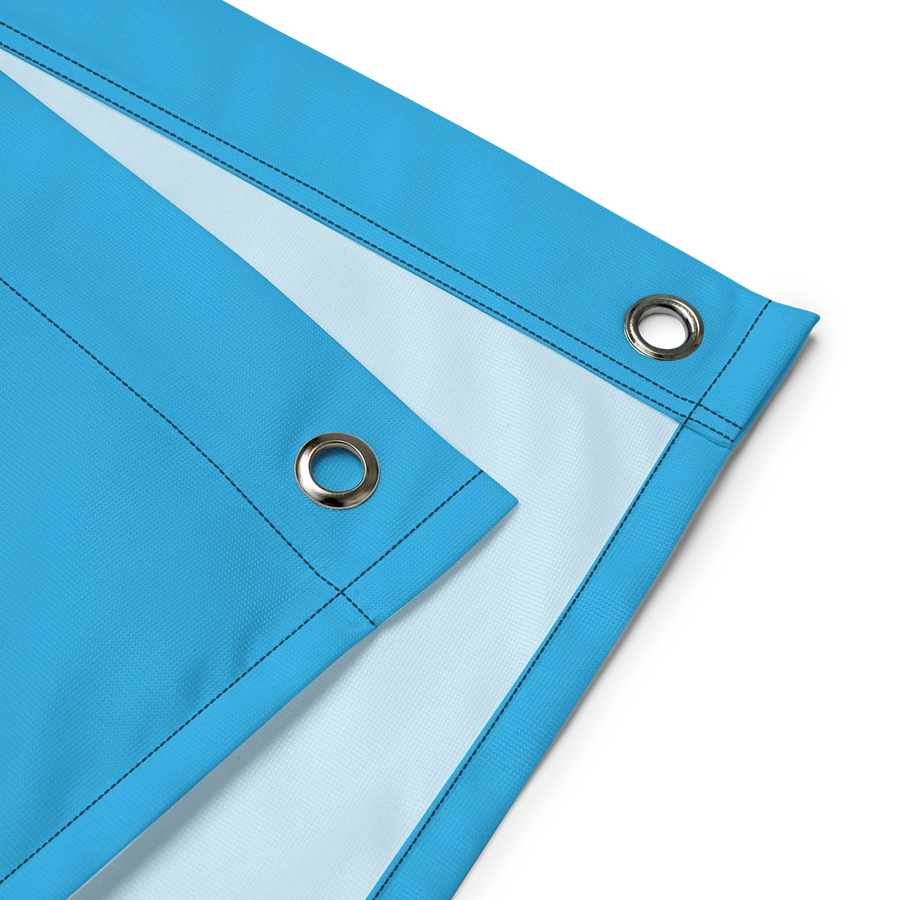 BONE ZONE FLAG (BLUE) product image (2)